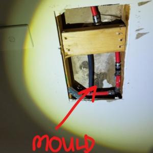 Waterproof inspection Geelong - Mould