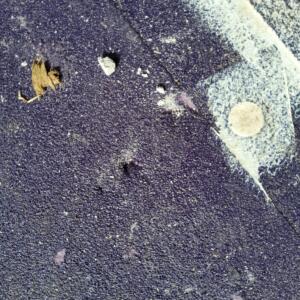 Damaged waterproofing membrane in Torquay