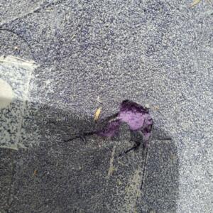 Damaged waterproofing membrane in Torquay