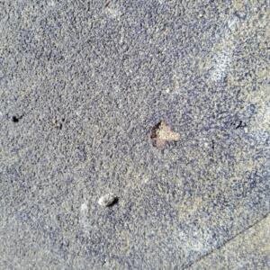 Damaged waterproofing membrane in Torquay